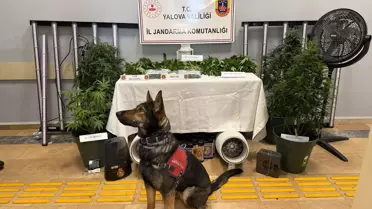 Yalova'da Uyuşturucu Operasyonu: 2 Tutuklama