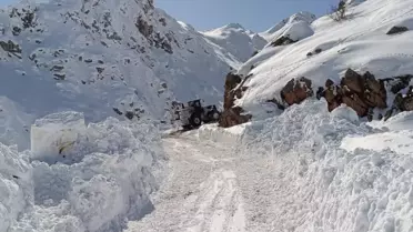 Yüksekova'da Mezra Yolu Açıldı
