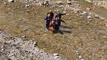 Defne Yaprağı Toplarken Dereye Düştü