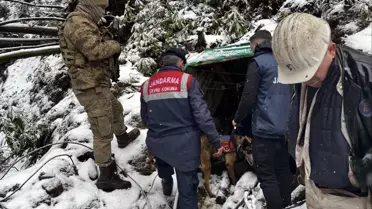 Zonguldak'ta 10 Ruhsatsız Maden Ocağı Kapatıldı