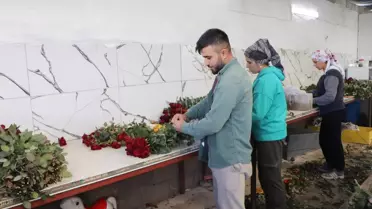 Gül Üretiminde Soğuk Darbesi