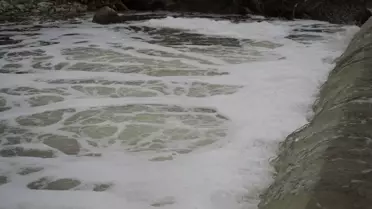 Köpüren dereden yayılan ağır koku vatandaşları tedirgin etti