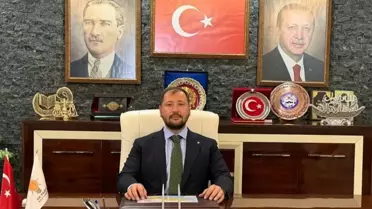 Zeytin Ağaçları Kesildi, Soruşturma Başlatıldı