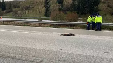 Osmaniye'de otoyolda temizlik yaparken otomobilin çarptığı 4 işçiden biri öldü