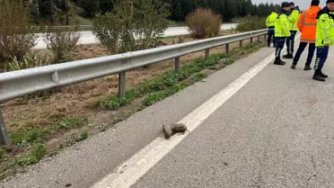 Düziçi'nde Kaza: Bir İşçi Hayatını Kaybetti