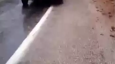 Adana'da Kaya Düşmesi Kazası