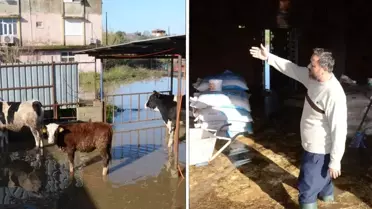 Antalya'da sağanak yağış hayatı felç etti! Mahsur kalan hayvanlar kurtarıldı