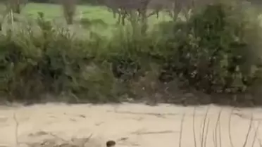 Hatay'da Sel Felaketi