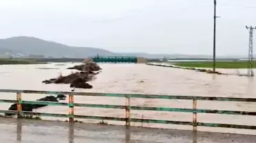 İslahiye'de Şiddetli Yağış: Evler ve Tarım Arazileri Sular Altında Kaldı