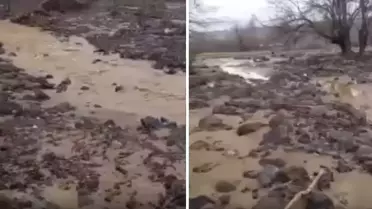 Sağanak yağış tarımı alt üst etti! Binlerce dönüm arazi sular altında