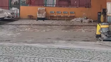 Kocaeli'de Tabancalı Saldırı: Oto Yıkama Sahibi Ağır Yaralandı