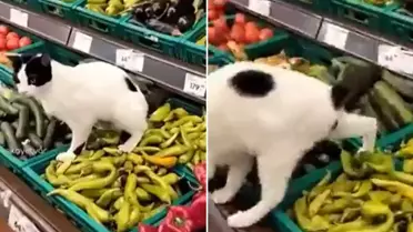 Zincir markette hijyen skandalı: İşedi resmen