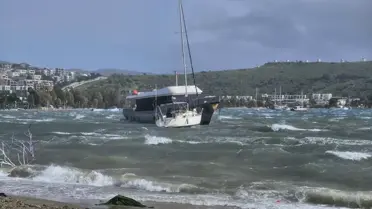 Bodrum'da Fırtına: Ağaçlar Devrildi, Feribot Seferleri İptal