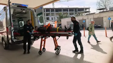 Ceviz Ağacından Düşen Adam Yaralandı