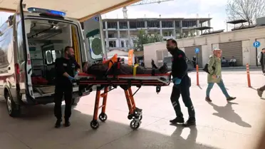 Ceviz Ağacından Düşen Yaşlı Adam Yaralandı