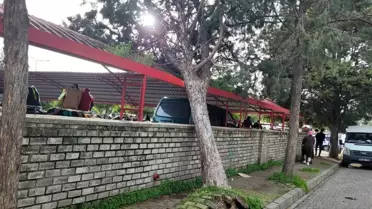 Efekent Pazaryeri'nde rüzgar ağacı devirdi