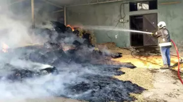 Kartepe'de Yangın: 70 Balyaya Zarar