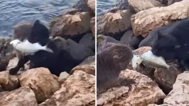 İkisi de mücadeleyi bırakmadı