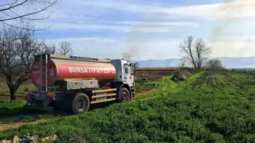 İznik'te Sazlık Yangınına Müdahale Sürüyor