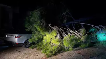 Marmaris'te fırtına ağaç devirdi: 1 kişi yaralandı