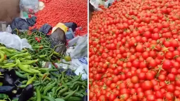 Sapasağlam sebzeleri çöpe attılar