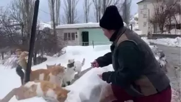 Selin İlhan'ın Sokak Hayvanlarına Duyduğu Sevgi