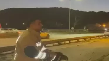 Karaçay'da Şahin Kurtarıldı