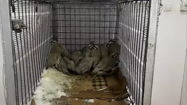 Van'da Kaçak Keklik Avına Cezası