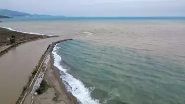 Mersin'de Akdeniz Kahverengiye Büründü