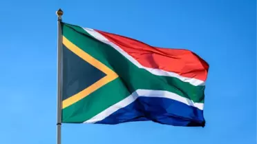 Güney Afrika'da Şap Salgını: Ulusal Afet İlan Edildi