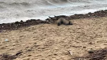 Sarımsaklı Sahili'ne kadın cesedi vurdu