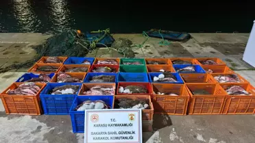 Karasu'da Kaçak 300 Kalkan Balığı Ele Geçirildi