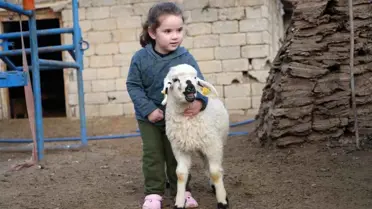 Muş'ta Küçükbaş Hayvancılık Gelişiyor