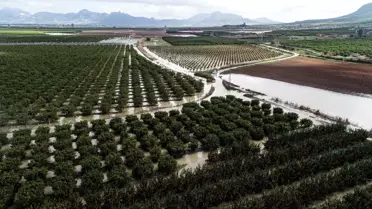 Adana'da Tarım Arazileri Su Altında