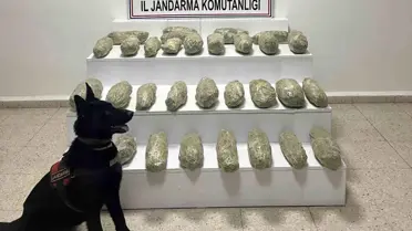 Başkale'de 21 Kilo Skunk Ele Geçirildi