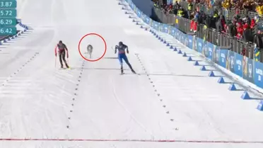 Dev organizasyonun önüne geçen görüntü