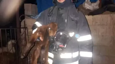 Hatay'da ahırda korkutan yangın