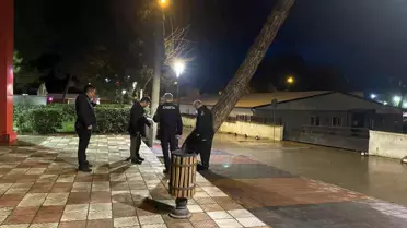 Yarım asırlık çam ağacı fırtınaya dayanamadı