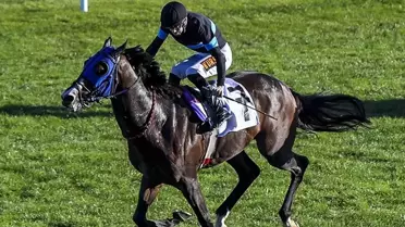 '100 milyonluk yarış atları kayıp' iddiasına açıklama geldi