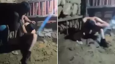 Ahırdaki işkence görüntülerinin ardından jandarma harekete geçti