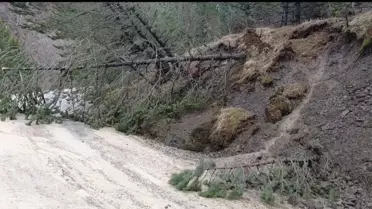 Akdağ'da Heyelan: Ağaçlar Devrildi