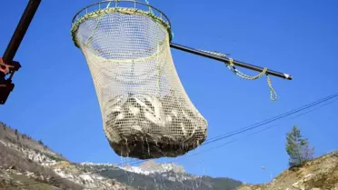 Gümüşhane'de Alabalık Üretimi Artıyor