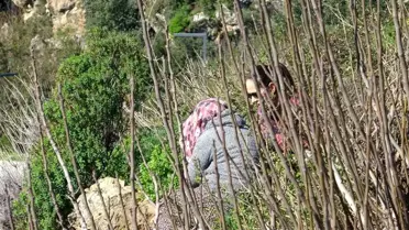 Antalya'da Falezlerden İkna Edilen Anne