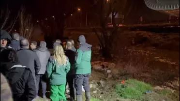 Kayseri'de Sağanak: 200 Hayvan Tahliye Edildi