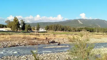 Köprüden çaya düşen çocuktan acı haber