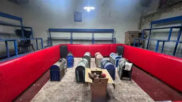 Adana'da Kumar Baskını: Horozlar Ringde Kavga Etti