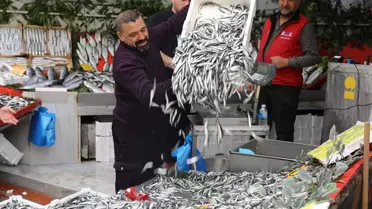 Hamsinin fiyatı 50 liraya düştü, tezgahlarda kuyruk oluştu