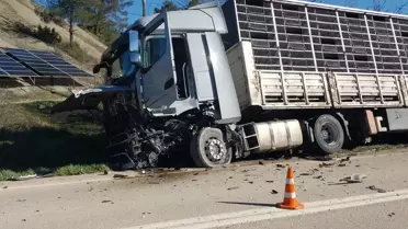 Taraklı'da TIR-Otomobil Kazası: 1 Ölü