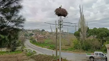 Leylekler Göç Etti, Un Hediyesi Verildi