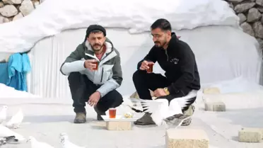 20 Yıldır Güvercin Besliyor